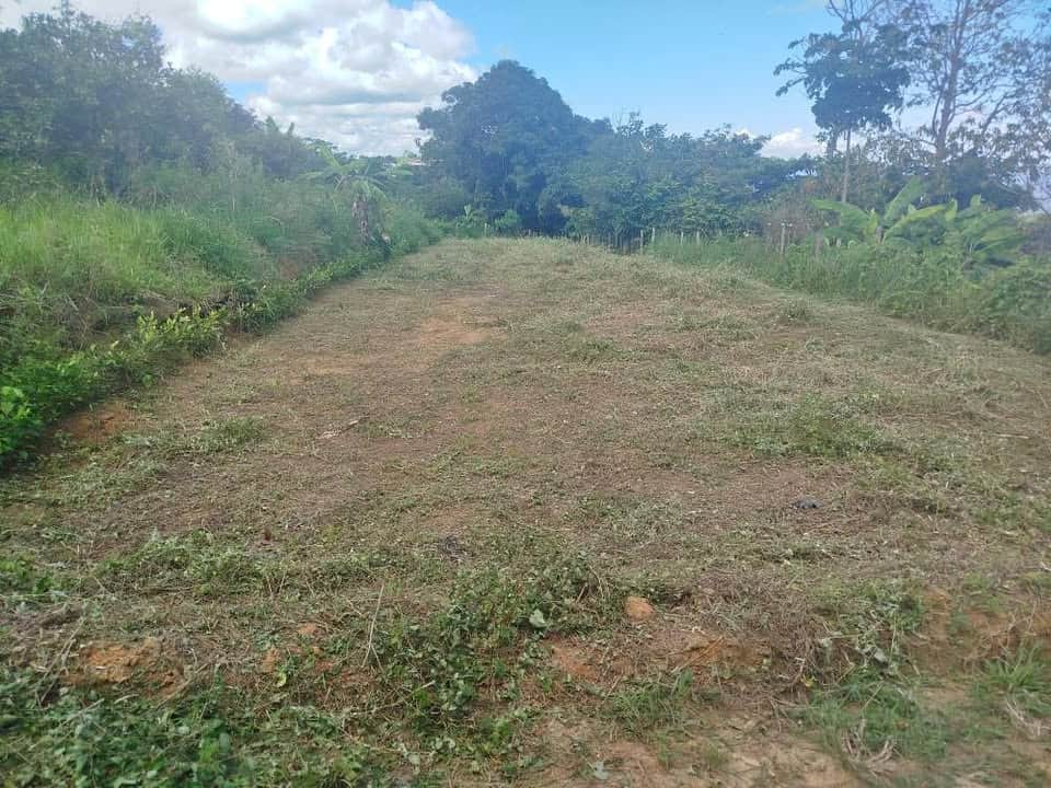 terreno_lamas_inmuebles_en_la_selva_tiempo